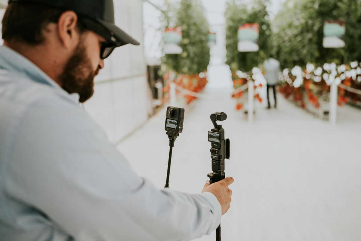 The Need For Perfection in Creation