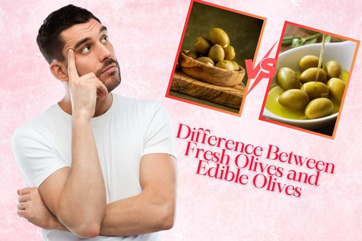 The Difference Between Fresh Olives and Edible Olives